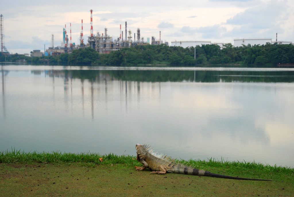 Refinaria de petróleo na Colômbia. Foto: Flickr/Aris Gionis (cc)