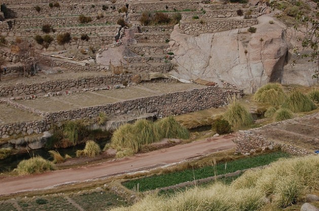 Terraços construídos pelos indígenas do deserto de Atacama na aldeia de Caspana, no Alto Loa, na região de Antofagasta, norte do Chile. Esta técnica milenar de cultivo representa uma adaptação ao clima e garantia ao direito de alimentação desses povos do altiplano andino. Foto: Marianela Jarroud/IPS