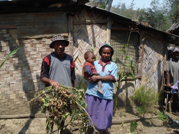 Habitantes de Avaninofi, em Papua-Nova Guiné, exibem tomateiros perdidos durante a grave seca deste ano. Foto: Catherine Wilson/IPS 