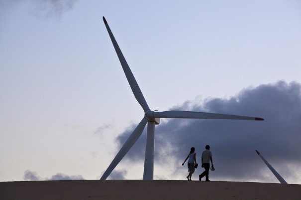 Parque eólico de Acarati, no Ceará. Foto: Greenpeace