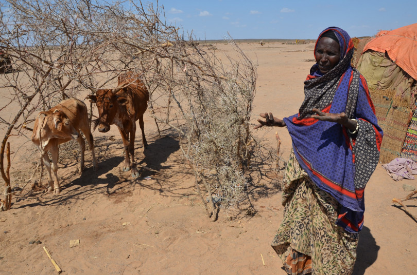 Grandes áreas da Etiópia sofrem com a seca, agravada pelo fenômeno El Niño. Na foto, Lule Dubet caminhou 30 quilômetros com seus dez filhos para procurar comida. Ela perdeu 25 cabeças de gado por conta da seca e os últimos dois estão morrendo. Foto: PMA/Melese Awoke