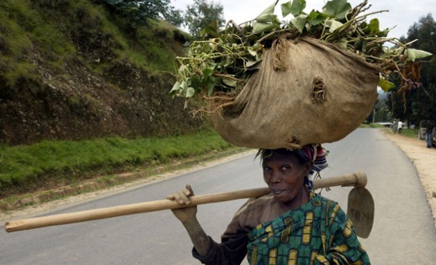 As mulheres representam 80% da mão de obra agrícola em Uganda e, no entanto, não são incluídas questões de gênero nas políticas sobre mudança climática e agricultura. Foto: Wambi Michael/IPS