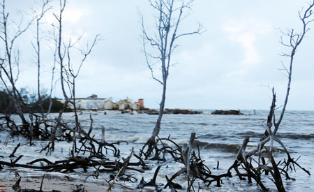 Área costeira invadida na Praia do Saco, em Sergipe. Foto: Paulo de Araújo/MMA