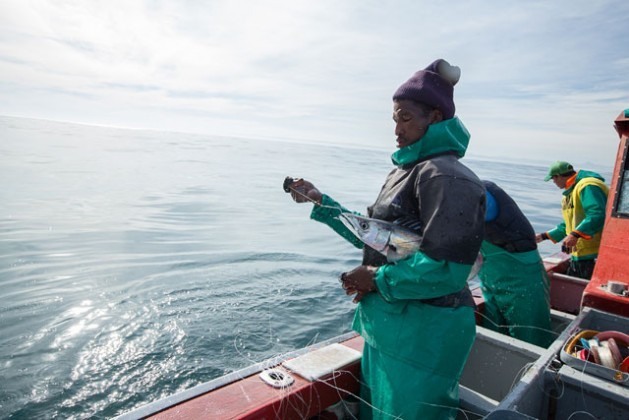 Pescadores capturando barracudas, um peixe de crescimento relativamente rápido. Foto: Mark Chipps/WWF