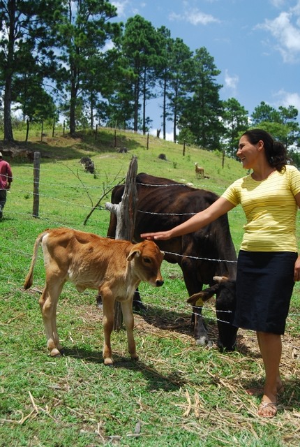 Josefina Rodríguez faz parte dos 18% de produtoras agropecuárias da Nicarágua que são proprietárias da terra onde trabalham. O fundo que impulsiona a aquisição de terras por mulheres rurais continua sem os recursos necessários para que seus objetivos sejam cumpridos. Foto: Ismael López/IPS