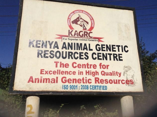 Centro de Recursos Genéticos Animais, com sede em Nairóbi. Foto: Justus Wanzala/IPS