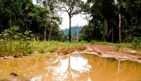 Área degradada no município de Colniza, noroeste de Mato Grosso. Foto: Marcelo Camargo/Agência Brasil