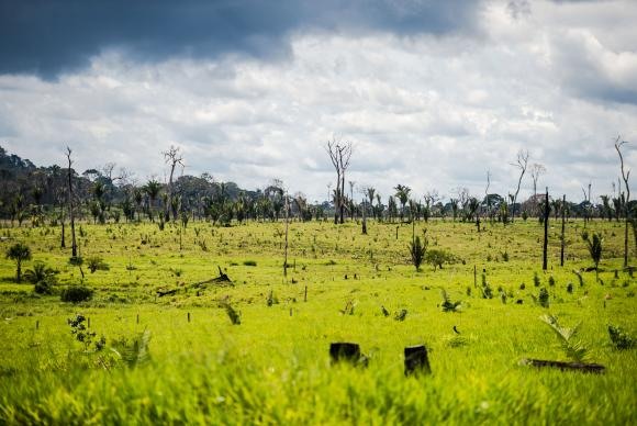 Área degradada no município de Colniza, noroeste de Mato Grosso. Foto: Marcelo Camargo/Agência Brasil