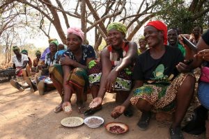 As leguminosas são boas para a nutrição e a renda, em particular para mulheres agricultoras que cuidam da segurança alimentar de suas famílias, como acontece nessa aldeia próxima a Lusaka, em Zâmbia. Foto: Busani Bafana/IPS