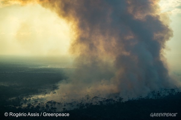 Nuvem de fumaça proveniente de queimada cobre fazendas e floresta em Lábrea, no sul do Amazonas. Foto: © Rogério Assis / Greenpeace
