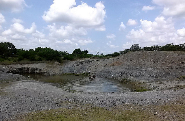 Um reservatório quase vazio, perto da fazenda La Yuraguana, que recolhe água de chuva, que é usada pelos camponeses dos subúrbios rurais da cidade de Holguín para dar de beber ao gado. Foto: Ivet González/IPS 