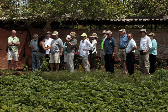 Turistas durante uma visita à Unidade Básica de Produção Cooperativa Viveiro Alamar, na área rural ao leste de Havana. O agroturismo é um novo ingrediente que alguns produtores de Cuba estão somando à sua atividade para melhorar sua renda. Foto: Jorge LuisBaños/IPS