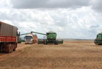 Estudo aponta soja como responsável por quase um terço do desmatamento em Mato Grosso