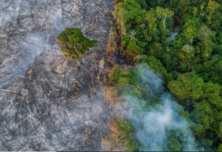 Governo atualiza lista de municípios que mais desmatam a Amazônia