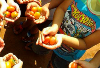 Merenda saudável: das hortas escolares à garantia de segurança alimentar