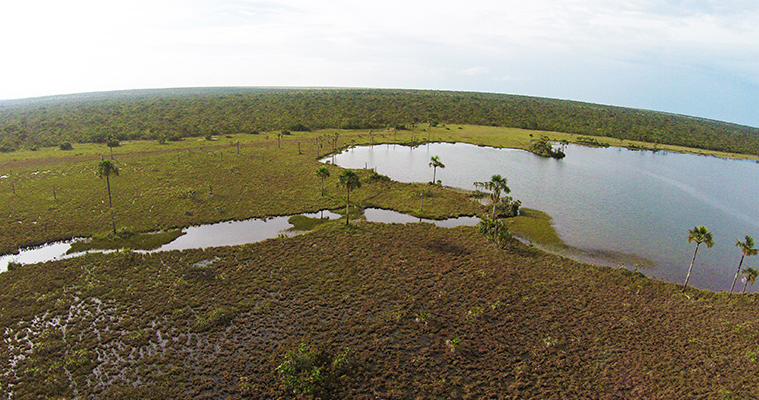 Imagem captada por Ecodrone na região do Mosaico Sertão Veredas Peruaçu. Foto: © WWF-Brasil