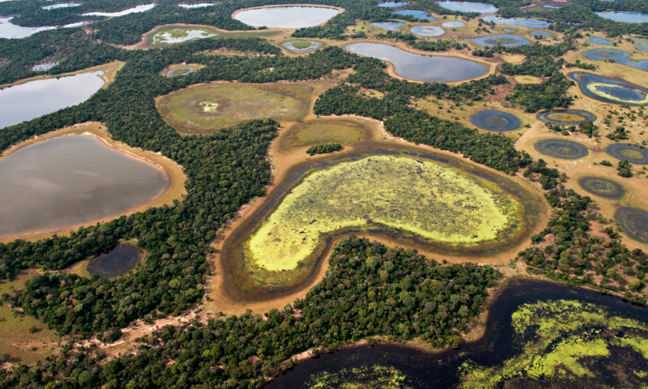 São consideradas áreas úmidas os pântanos, charcos, turfas ou locais de acúmulo de água, permanente ou temporário. Foto: © Adriano Gambarini/WWF-Brasil