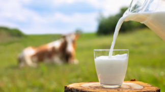 Empresas fecham parceria com foco em descarbonização de fazendas leiteiras no Brasil