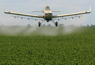 Antes do Ceará, 8 municípios já haviam proibido fumigação aérea de agrotóxicos