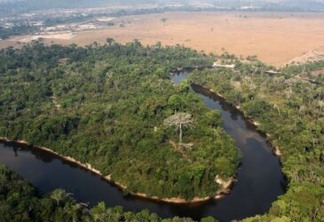 Estudo mostra relação entre desmatamento e redução de chuvas em florestas tropicais