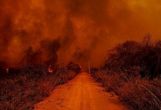 Se queimadas continuarem, Pantanal tende a virar um deserto, afirma biólogo
