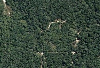 Manifesto em defesa da Floresta do Camboatá: floresta não é lugar de autódromo