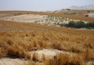 Desertificação, Degradação do Solo e Mudança Climática andam de mãos dadas