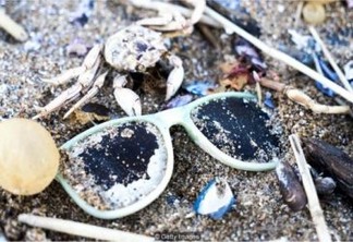 Substitutos naturais para plásticos podem ajudar a reverter a maré crescente de resíduos plásticos nos oceanos