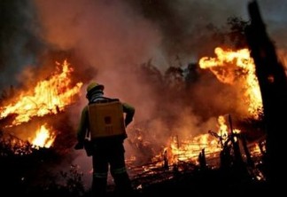 Amazônia: agricultores causam maioria das queimadas, e não índios e caboclos, diz cientista Carlos Nobre