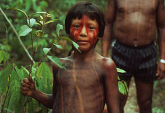 Indígenas Kayapó com planta medicinal © Mauri Rautkari / WWF