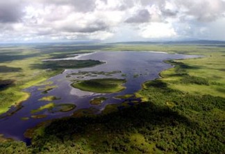 Em função de sua biodiversidade, a Amazônia é considerada uma das mais importantes florestas tropicais do mundo. Foto: Alex Silveira/ WWF Brasil