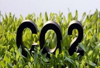 GreenClick comemora a  neutralização de três toneladas de CO2