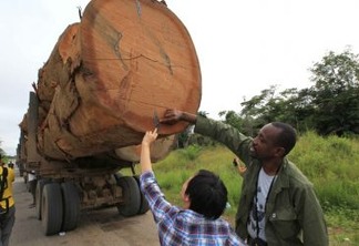 O Programa Madeira é Legal visa promover o uso responsável da madeira amazônica 
© Deng Jia/ WWF-Canon