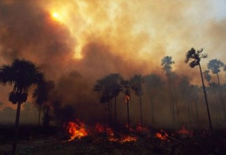 O aumento da seca contribui para que as queimadas - que muitas vezes são intencionais - se alastrem com mais rapidez, provocando grandes desastres
© Nigel Dickinson/WWF-Canon
