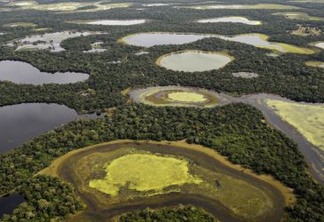 Vista aérea do Pantanal. Foto: © Adriano Gambarini / WWF-Brasil