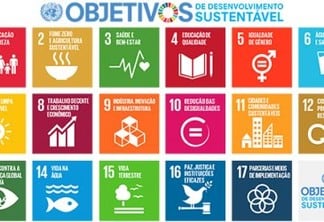 Os símbolos dos 17 Objetivos de Desenvolvimento Sustentável. Imagem: PNUD Brasil