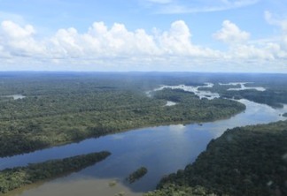 Vista aérea da Terra Indígena Apiaka do Pontal e Isolados| Foto: Tulio Paniago OPAN