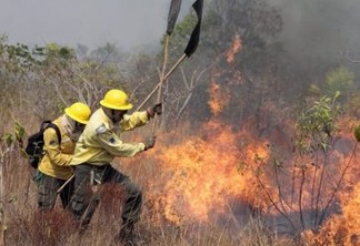 Enquanto Brasil queima, brigadas indígenas de combate ao fogo encaram futuro incerto