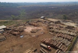 Maiores bancos privados do Brasil se unem em defesa da Amazônia