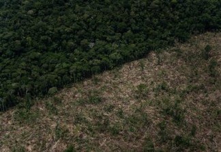 Março registra 312 km² com alertas de desmatamento