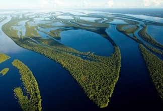 Hidrelétricas: Barragens transformam Amazônia em zona de sacrifício