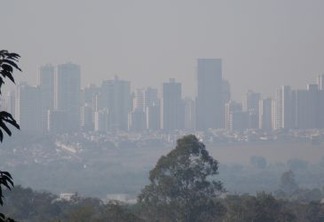 Árvores urbanas e prédios verdes diminuem em 30% poluição do ar