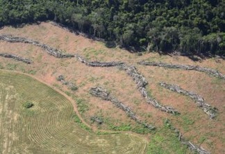 Amazônia tem desmatamento recorde em outubro