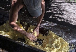A produção de farinha de mandioca é uma das bases da cultura dos geraizeiros, tanto do ponto de vista alimentar quando econômico. Foto: Marizilda Cruppe/Greenpeace.