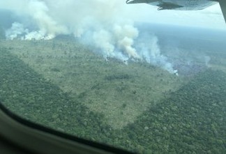 Greenpeace denuncia desmatamento de mais de 1,8 mil hectares no rio Manicor