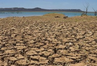 Desmatamento na Amazônia está secando o resto do Brasil, aponta relatório