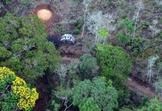 Artigo científico mostra que florestas tropicais estão morrendo rapidamente