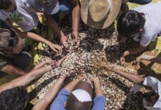 Rede de Sementes do Xingu vence o Ashden Awards, prêmio internacional para soluções climáticas