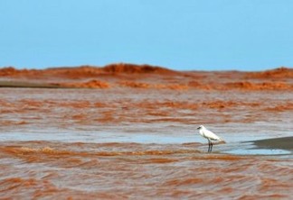 IUCN vai trabalhar com a Fundação Renova na recuperação da Bacia do Rio Doce