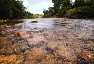 Desmatamento do Cerrado no Matopiba coloca em risco oferta de água  em 373 municípios